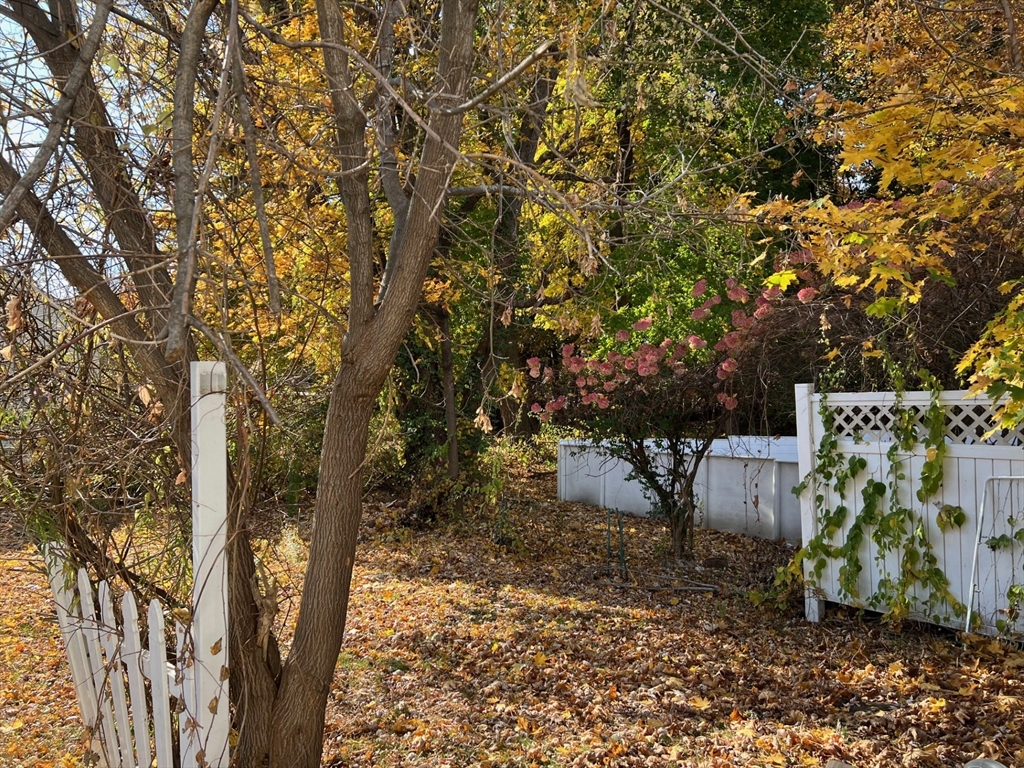 172 Chester Street Fitchburg, MA 01420 - Photo 4 of 22