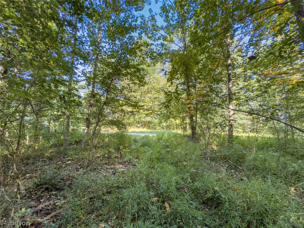 2 Shinn Road Stockport, OH 43787 - Photo 6 of 17 Gallery Image 6