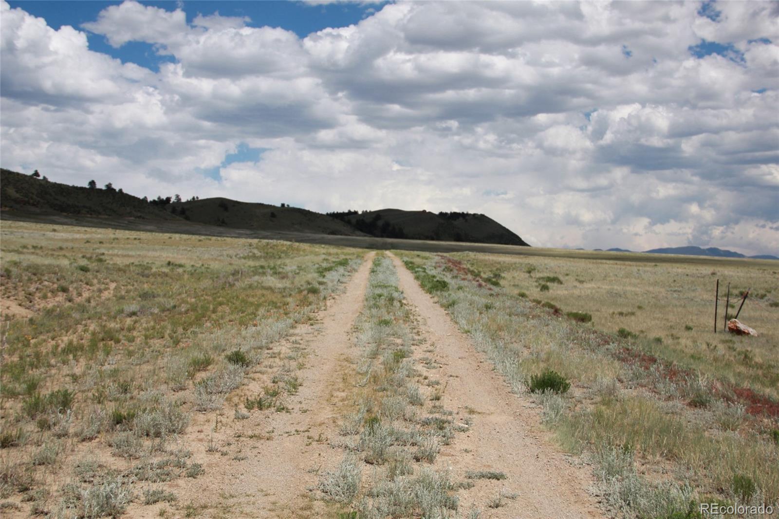 2310 Jackson Road Hartsel, CO 80449 - Photo 10 of 20