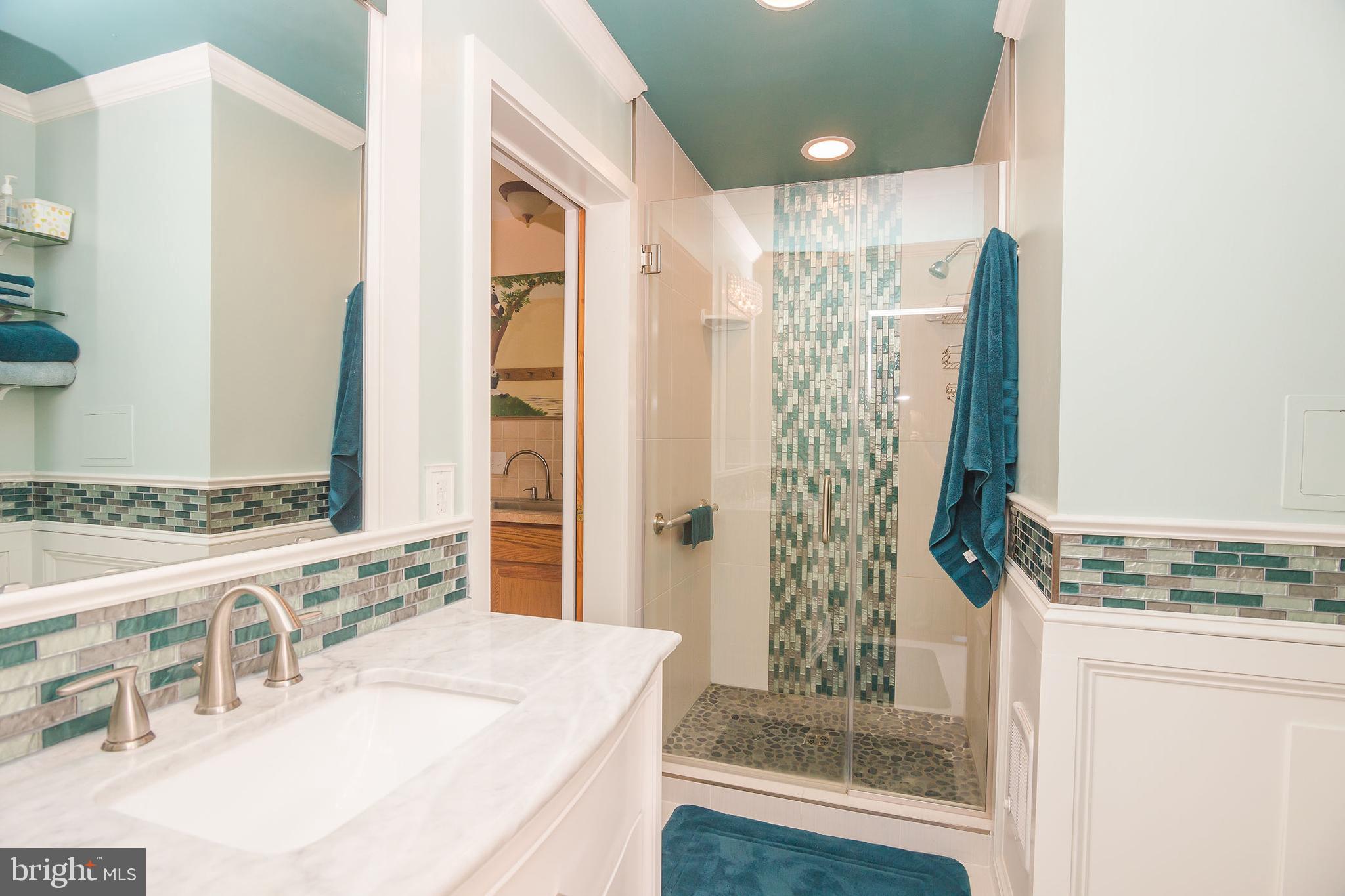 6830 McCabes Corner Road Snow Hill, MD 21863 - Photo 26 of 49 Master bath