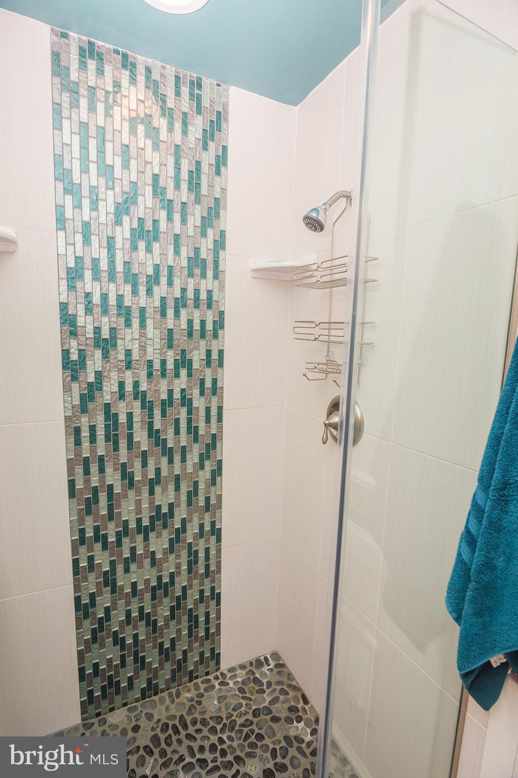 6830 McCabes Corner Road Snow Hill, MD 21863 - Photo 27 of 49 Master bath shower