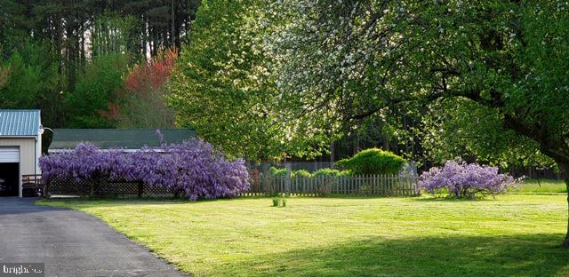 6830 McCabes Corner Road Snow Hill, MD 21863 - Photo 42 of 49 Wisteria brings hues of purple to this tranquil pl