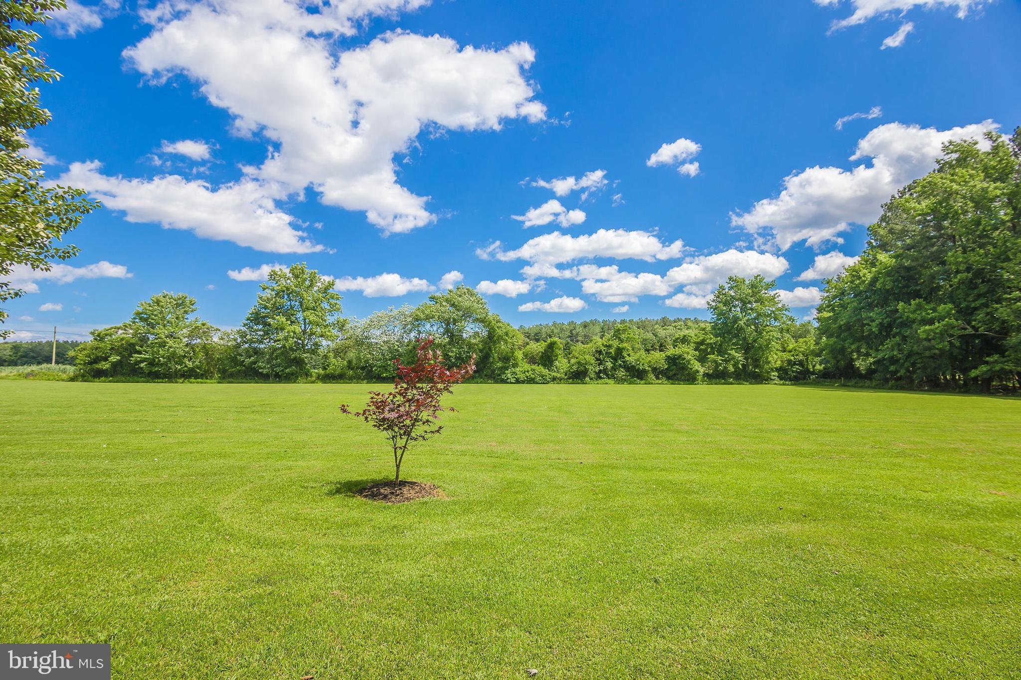 6830 McCabes Corner Road Snow Hill, MD 21863 - Photo 45 of 49 Open tranquil yard