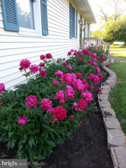 6830 McCabes Corner Road Snow Hill, MD 21863 - Photo 7 of 49 Gallery Image 7