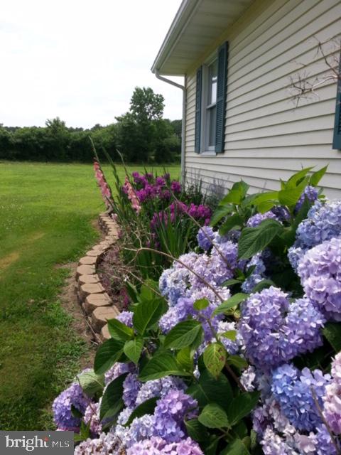 6830 McCabes Corner Road Snow Hill, MD 21863 - Photo 8 of 49 Hydrangea in front flower beds