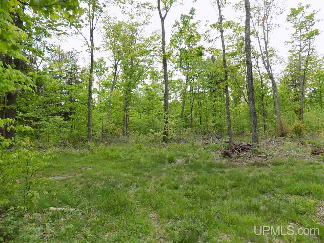 Tbd Slim's Road, Unit PARCEL B Manistique, MI 49854 - Photo 13 of 21