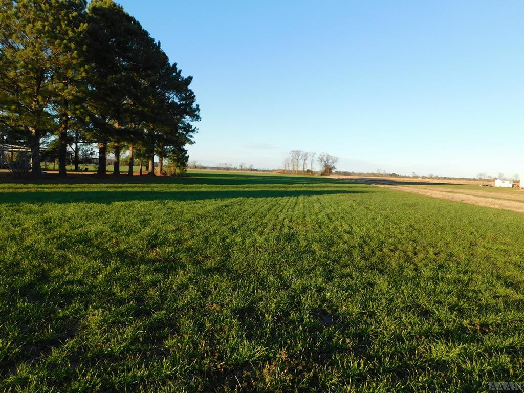 0 Hurdletown Road Hertford, NC 27944 - Photo 1 of 1 Main View