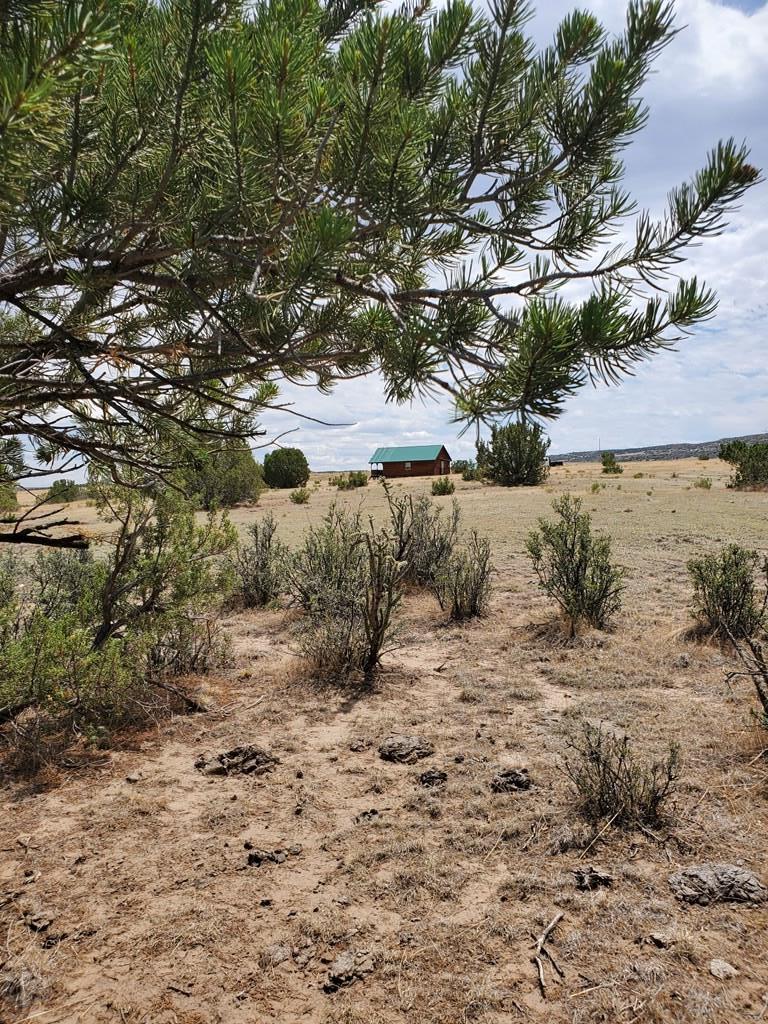 9640 Canyon Point Drive Rye, CO 81069 - Photo 6 of 32