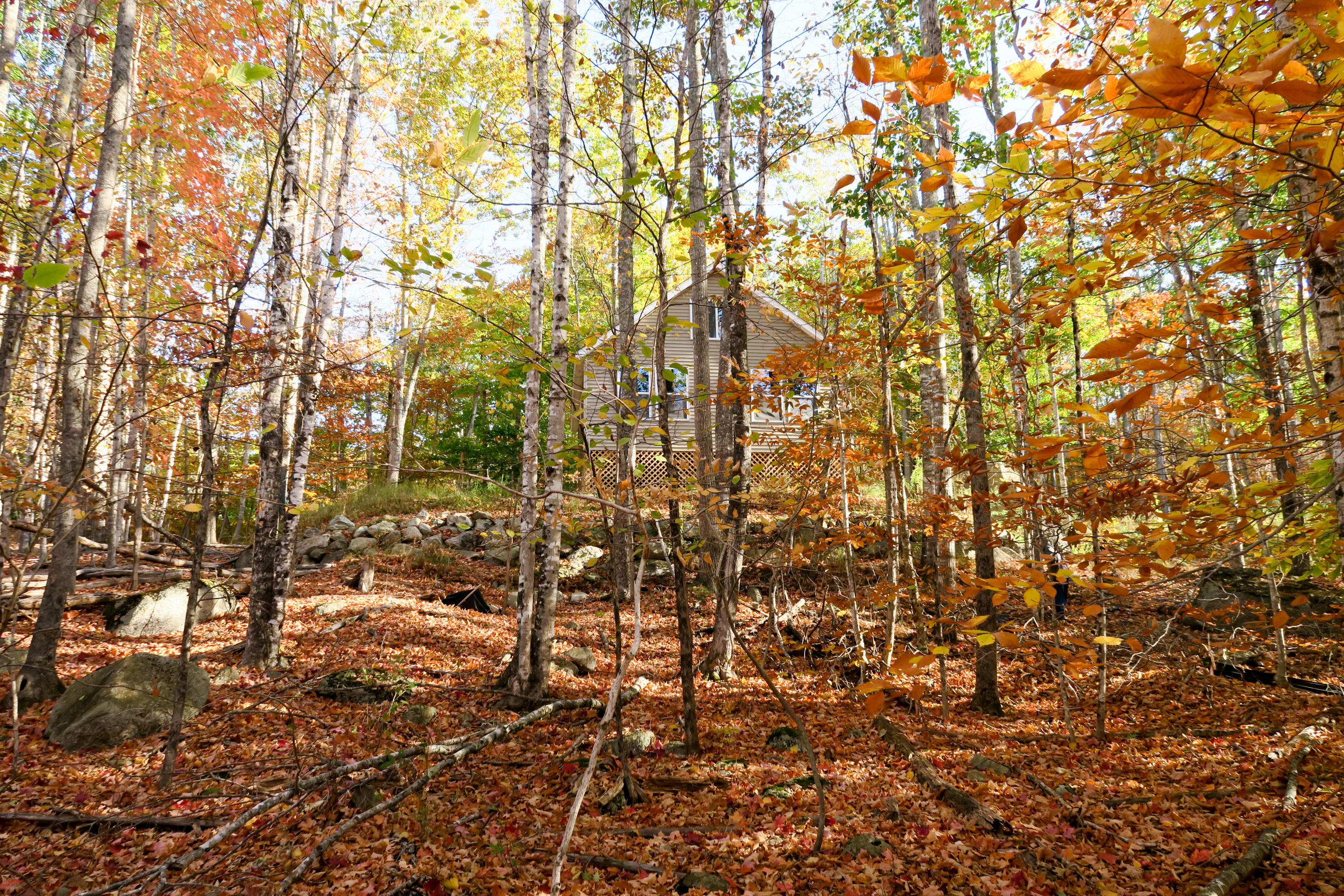 631 Green Lake Road Dedham, ME 04429 - Photo 10 of 18 Baker Place (Green Lake)-6 (1)