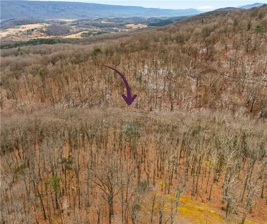 $355,000 | 390 Logsdon Hollow Road, Hyndman, PA 15545