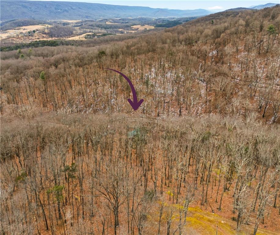 390 Logsdon Hollow Road Hyndman, PA 15545 - Photo 32 of 42