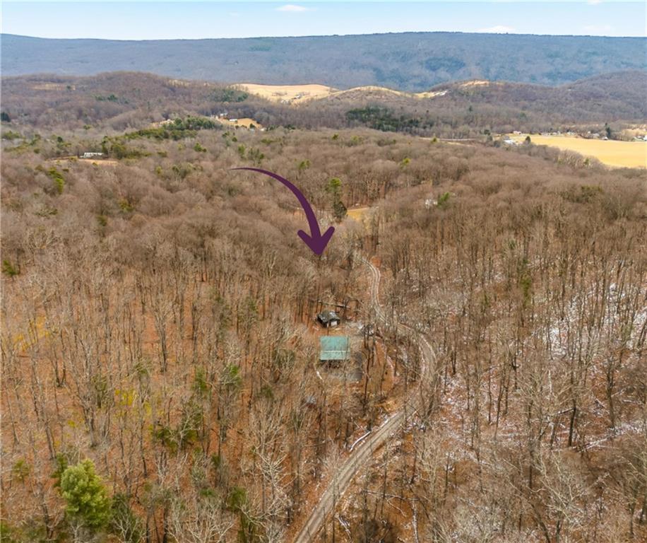 390 Logsdon Hollow Road Hyndman, PA 15545 - Photo 35 of 42