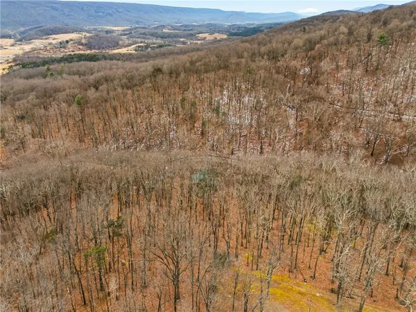 $355,000 | 390 Logsdon Hollow Road, Hyndman, PA 15545