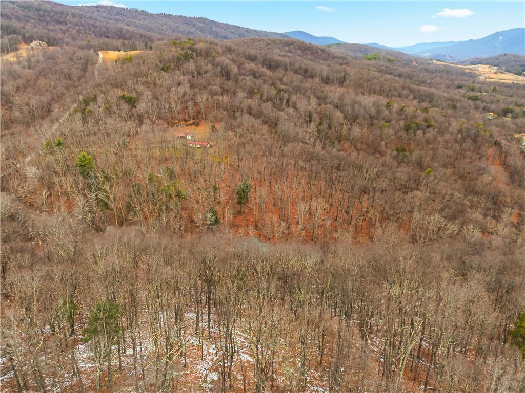 390 Logsdon Hollow Road Hyndman, PA 15545 - Photo 38 of 42