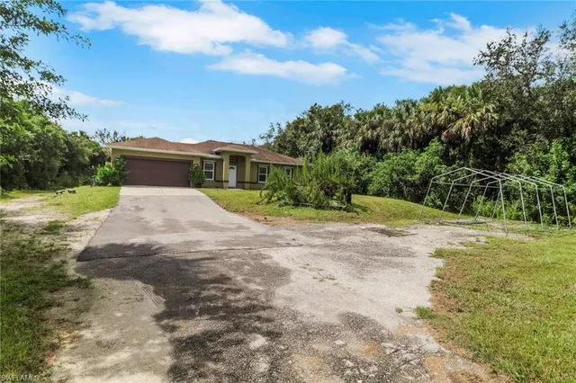 a view of a yard with plants and a large tree