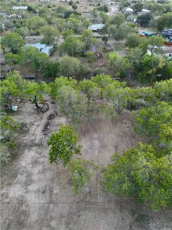 a view of a yard with a plant