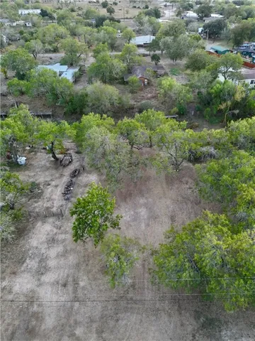 a view of a yard with a plant