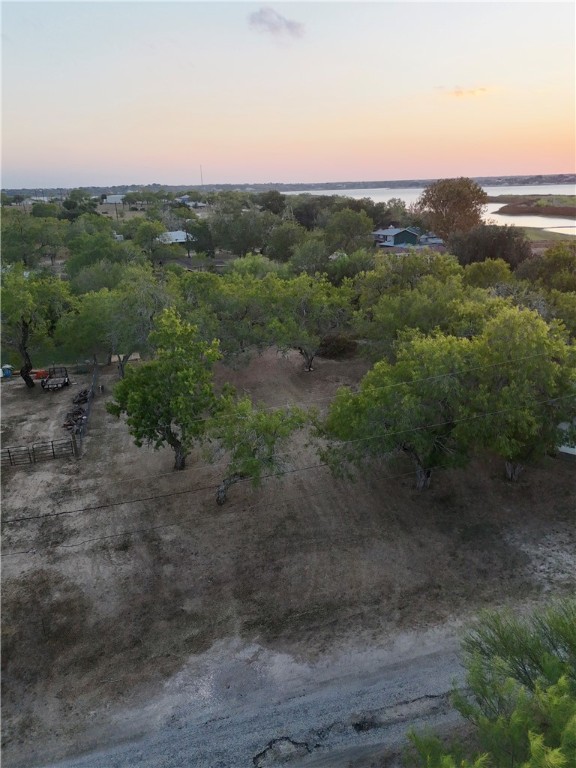 0 Laurie Lane Mathis, TX 78368 - Photo 13 of 16 a view of a yard with a street