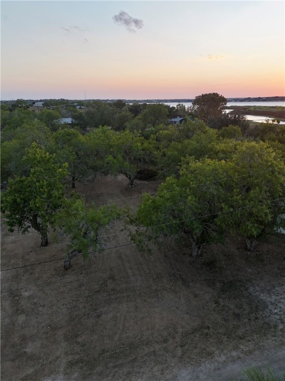 0 Laurie Lane Mathis, TX 78368 - Photo 14 of 16 a view of a city with lush green forest