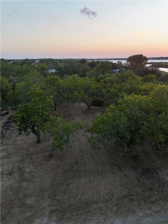 0 Laurie Lane Mathis, TX 78368 - Photo 15 of 16 a view of a yard with a sink