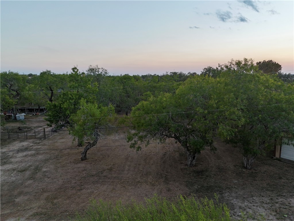 0 Laurie Lane Mathis, TX 78368 - Photo 16 of 16 a view of a dry yard with trees in the background