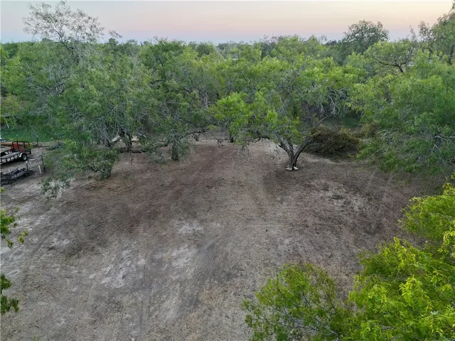 a view of a dry yard with trees