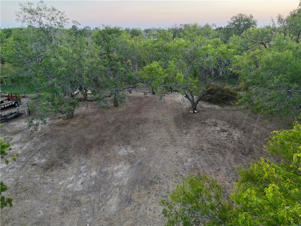 0 Laurie Lane Mathis, TX 78368 - Photo 4 of 16 a view of a dry yard with trees