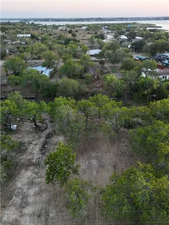an aerial view of forest
