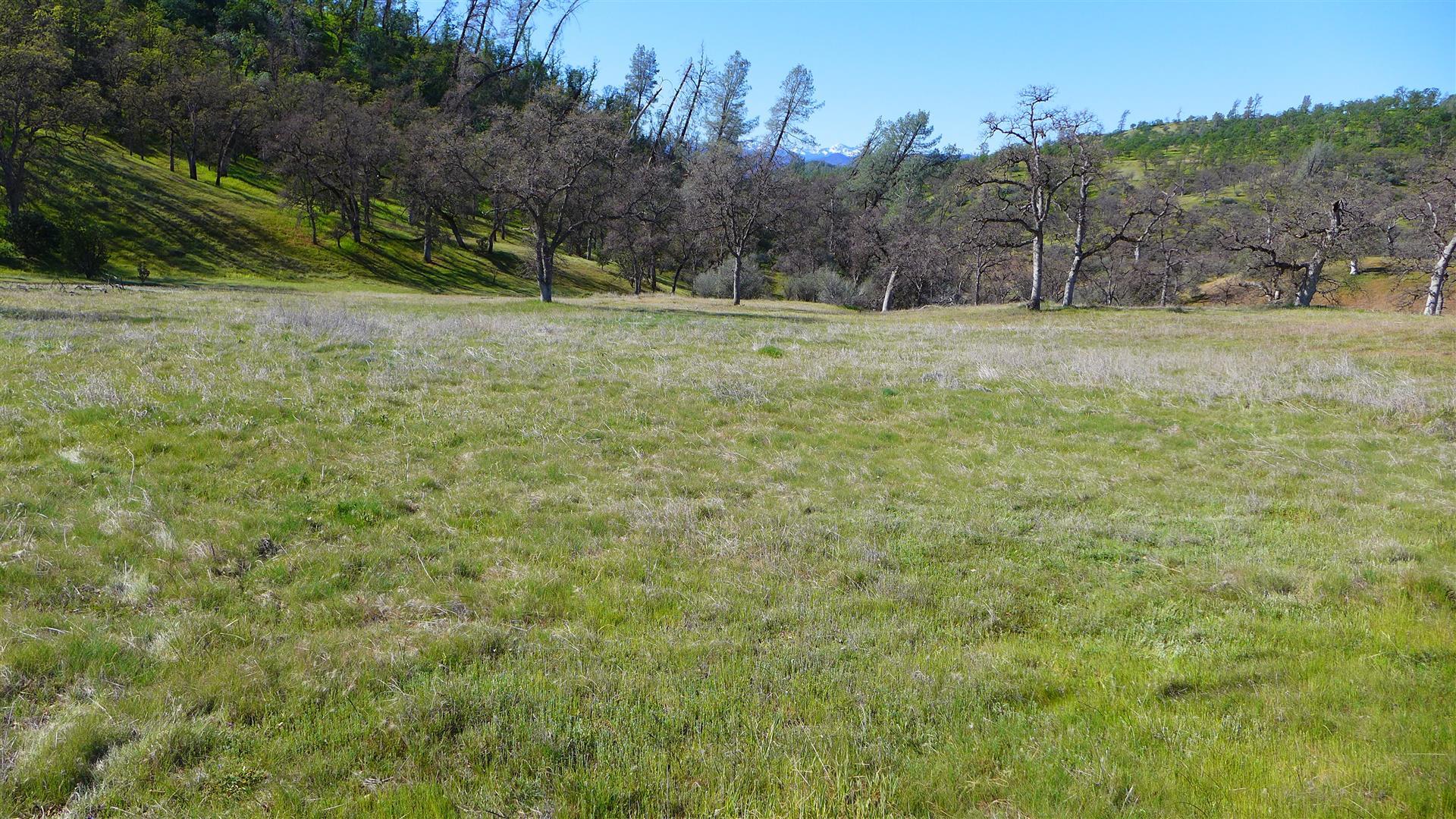 Lot 235 Fiddlers Road Igo, CA 96047 - Photo 1 of 30 a view of a dry yard with trees in the background