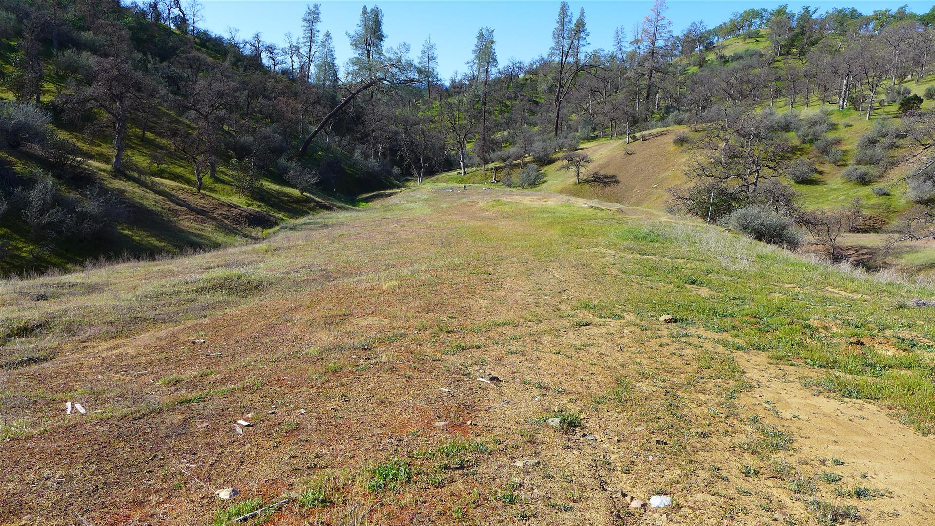 Lot 235 Fiddlers Road Igo, CA 96047 - Photo 13 of 30 a view of a yard with trees