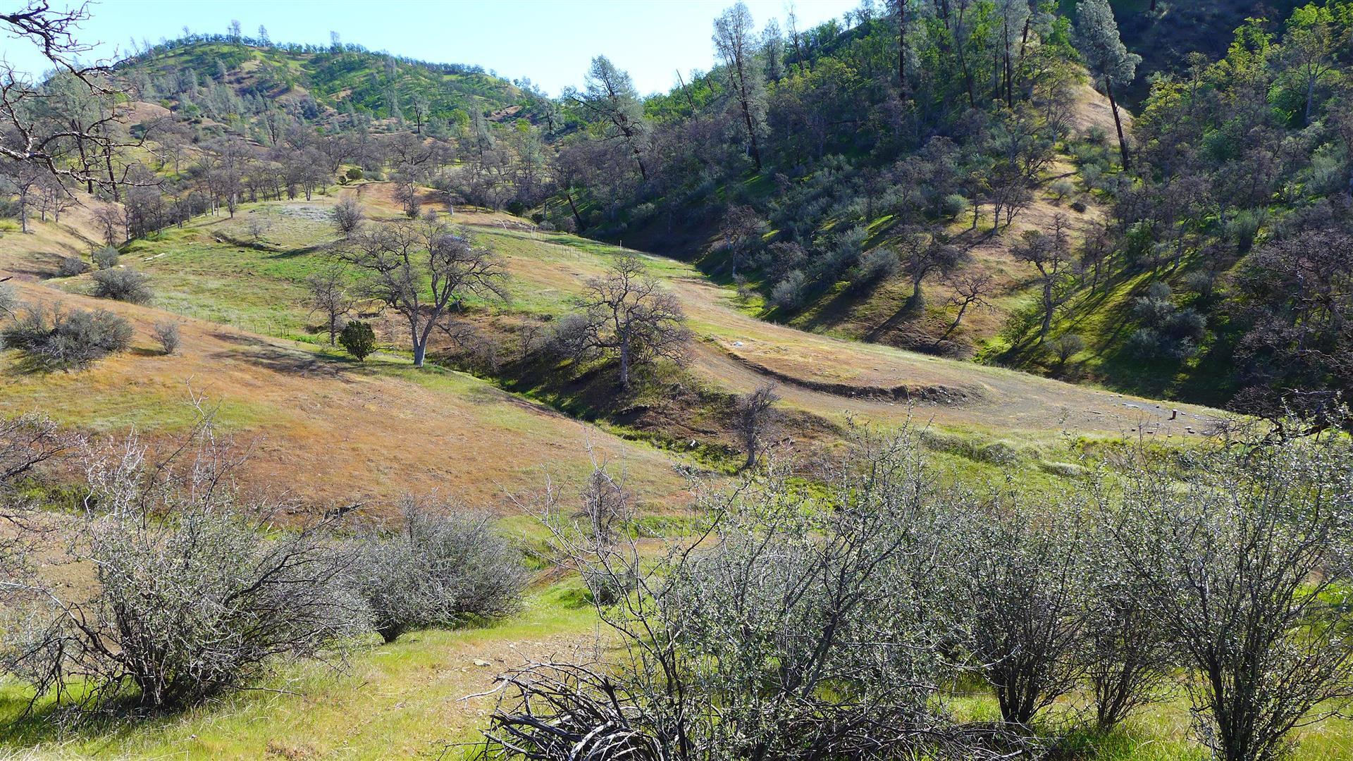 Lot 235 Fiddlers Road Igo, CA 96047 - Photo 15 of 30 a view of a dry yard with wooden fence