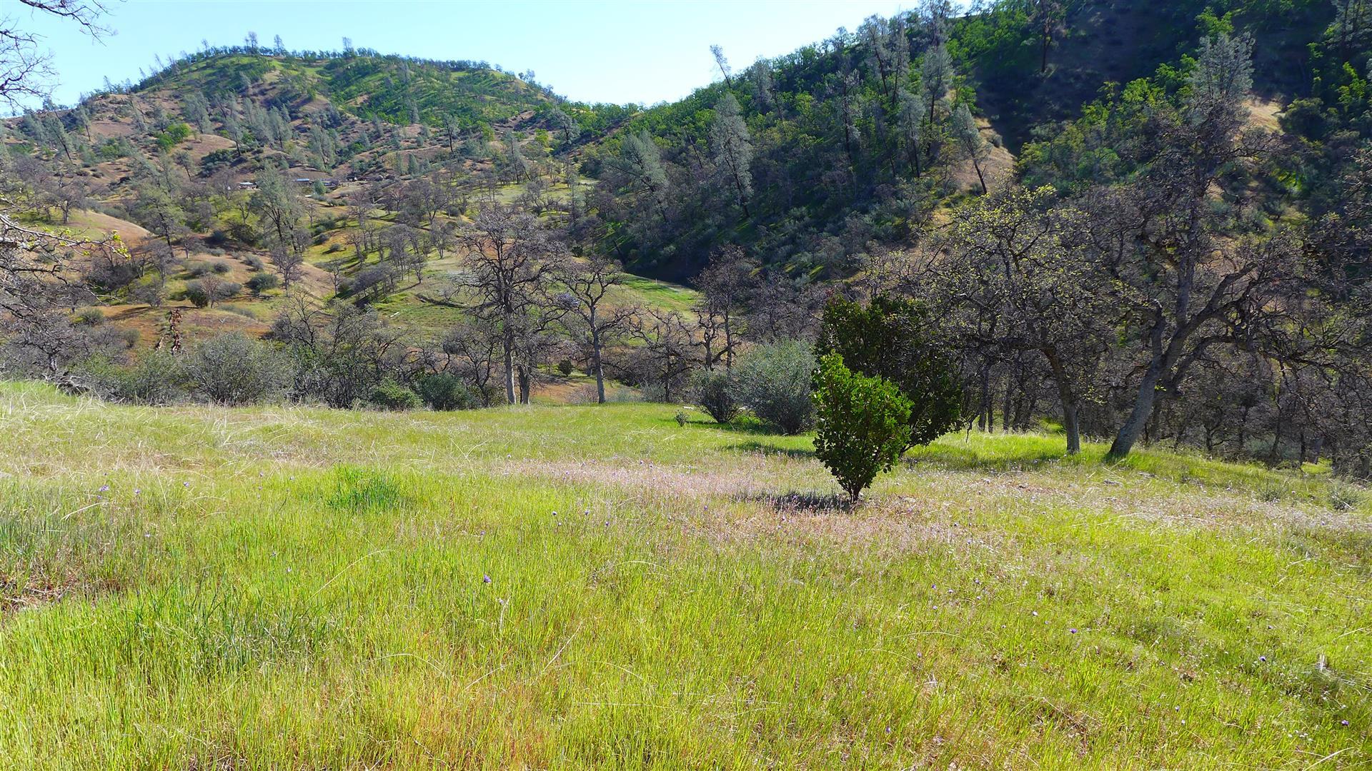 Lot 235 Fiddlers Road Igo, CA 96047 - Photo 16 of 30 a view of a yard with a tree