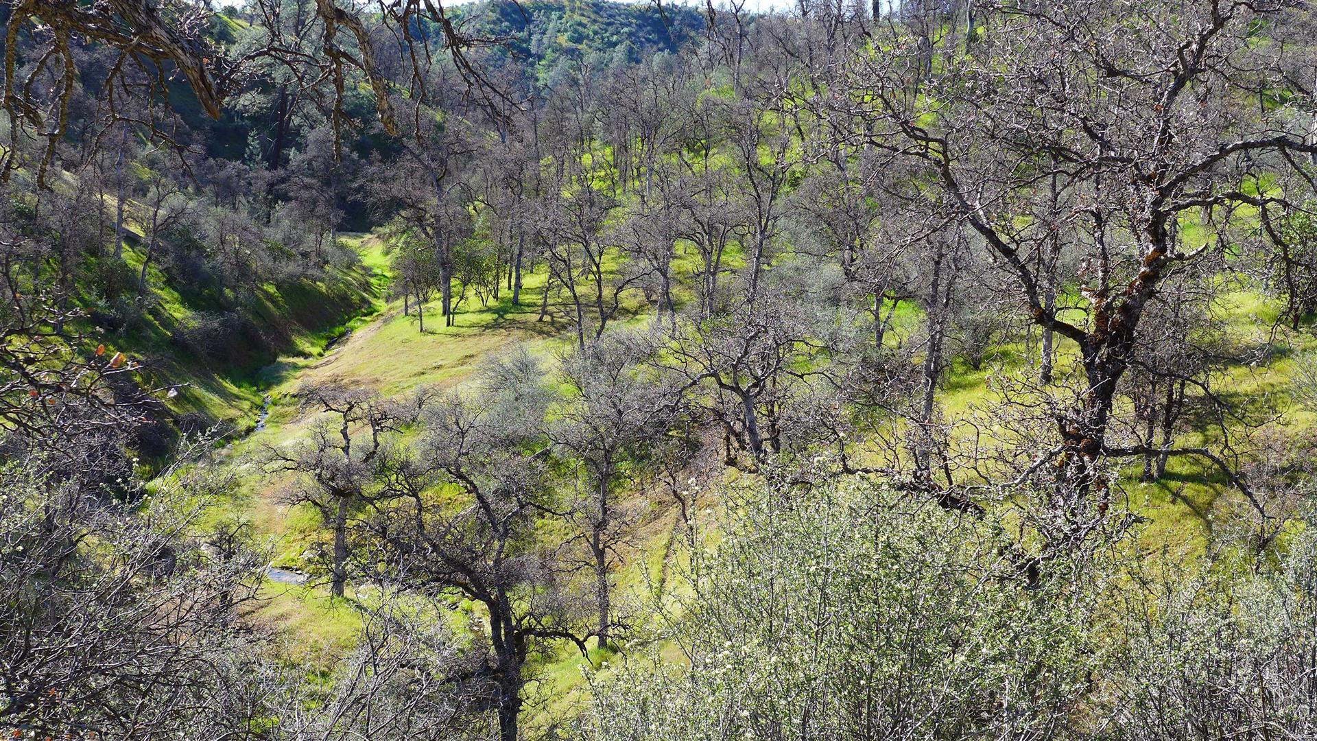Lot 235 Fiddlers Road Igo, CA 96047 - Photo 18 of 30 a view of a yard
