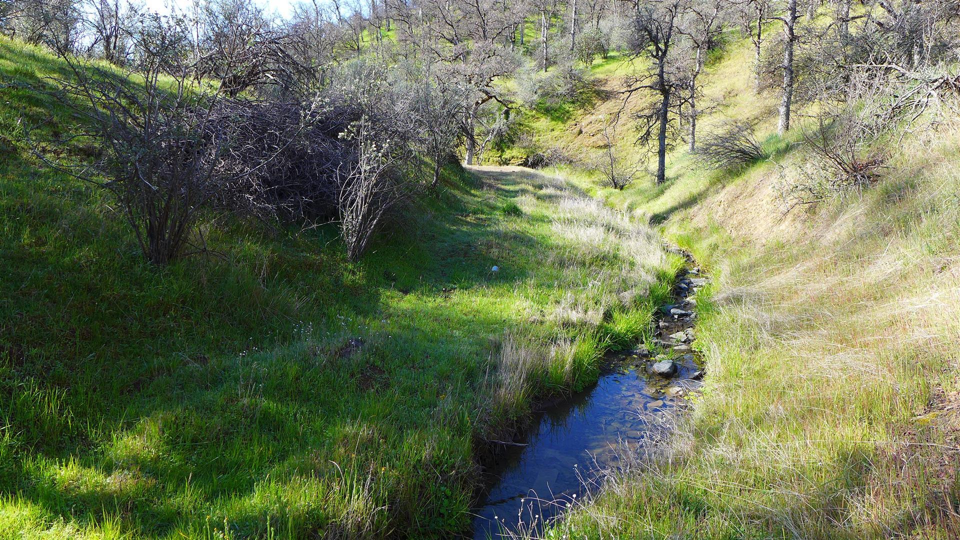 Lot 235 Fiddlers Road Igo, CA 96047 - Photo 20 of 30 a view of a garden