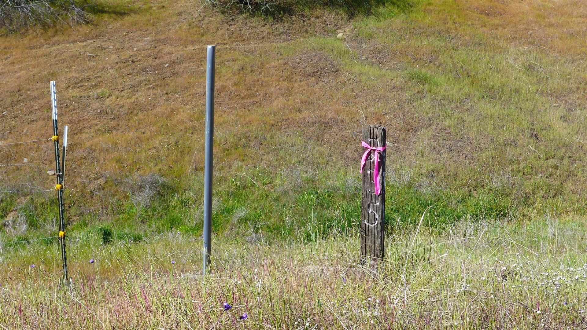 Lot 235 Fiddlers Road Igo, CA 96047 - Photo 28 of 30 a flag is sitting in the middle of forest