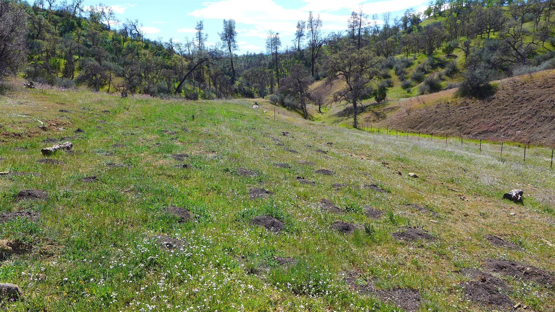 Lot 235 Fiddlers Road Igo, CA 96047 - Photo 29 of 30 a view of an outdoor space and a yard