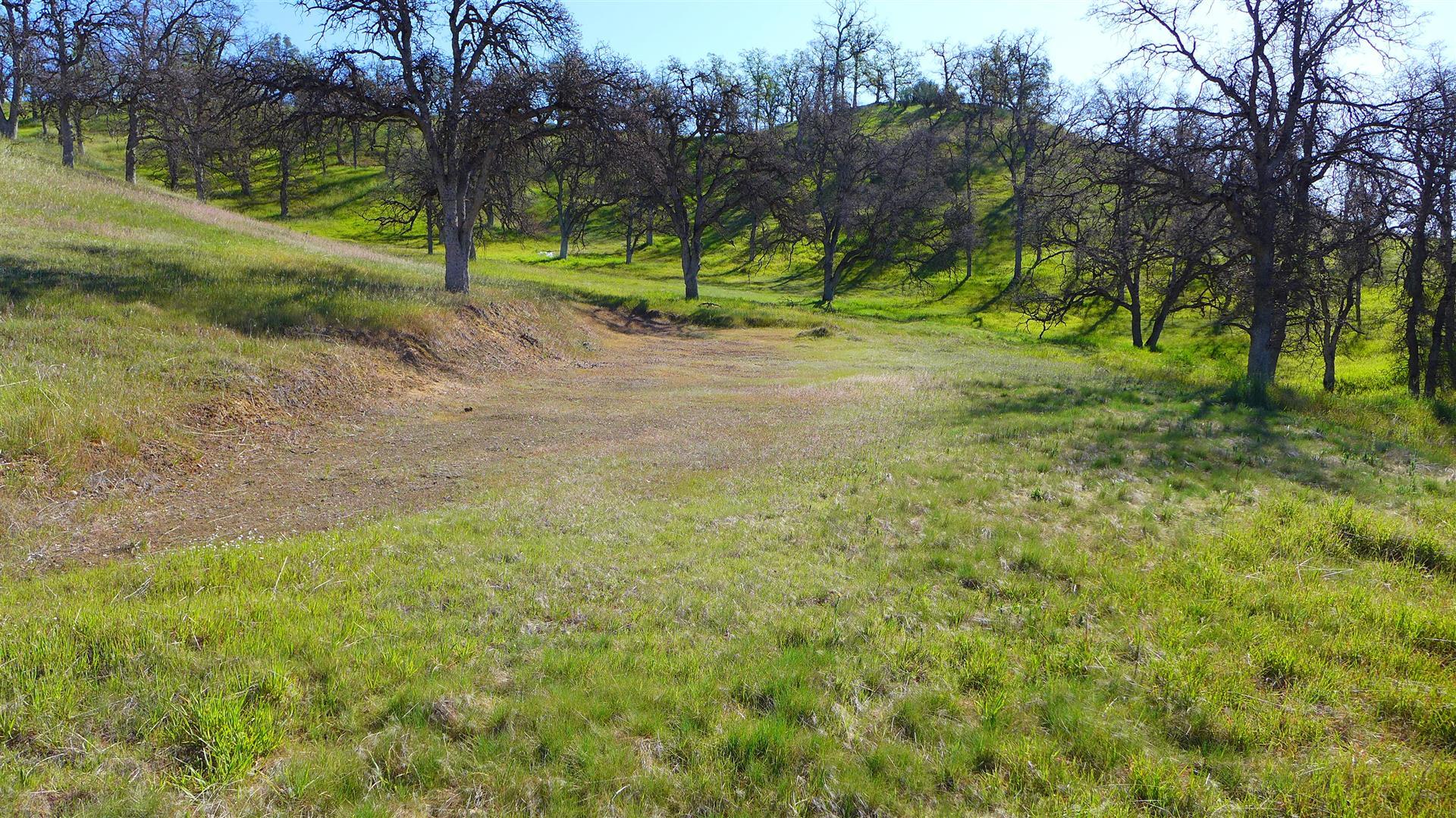 Lot 235 Fiddlers Road Igo, CA 96047 - Photo 3 of 30 a view of a yard with a tree