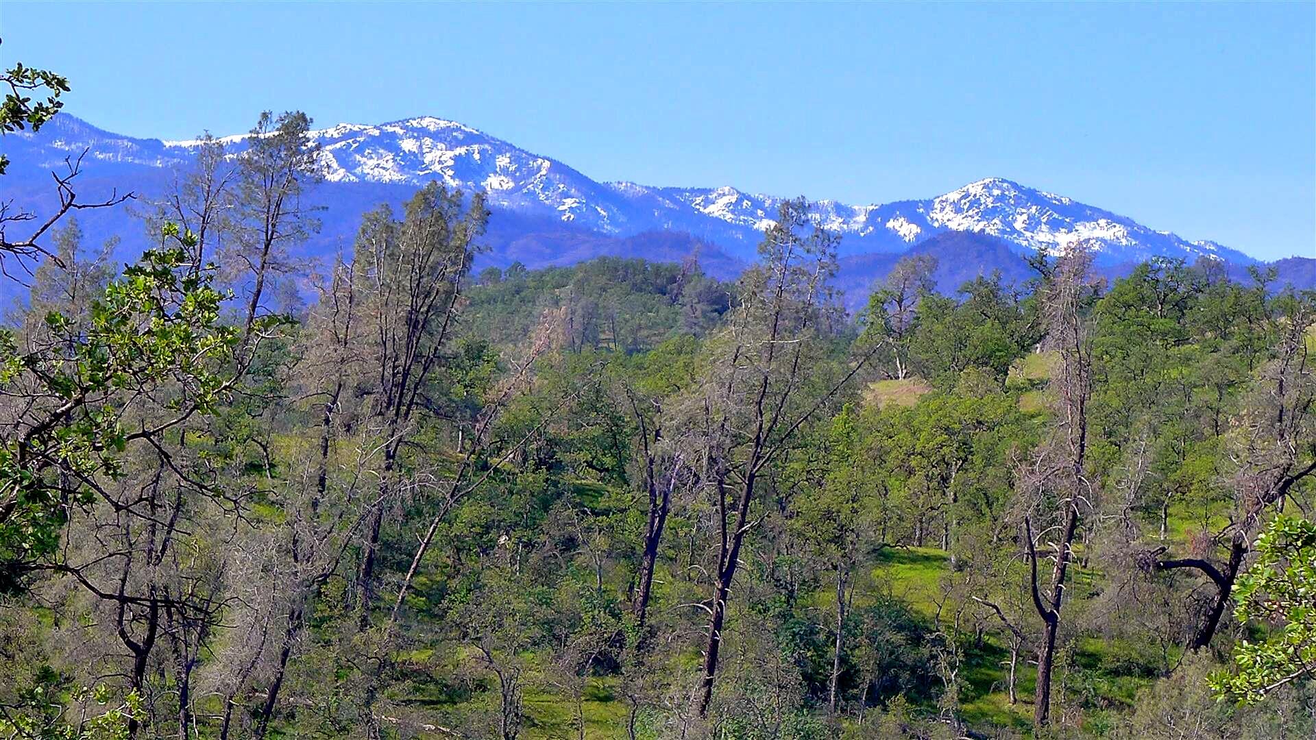 Lot 235 Fiddlers Road Igo, CA 96047 - Photo 5 of 30 a view of a building with a yard and garden