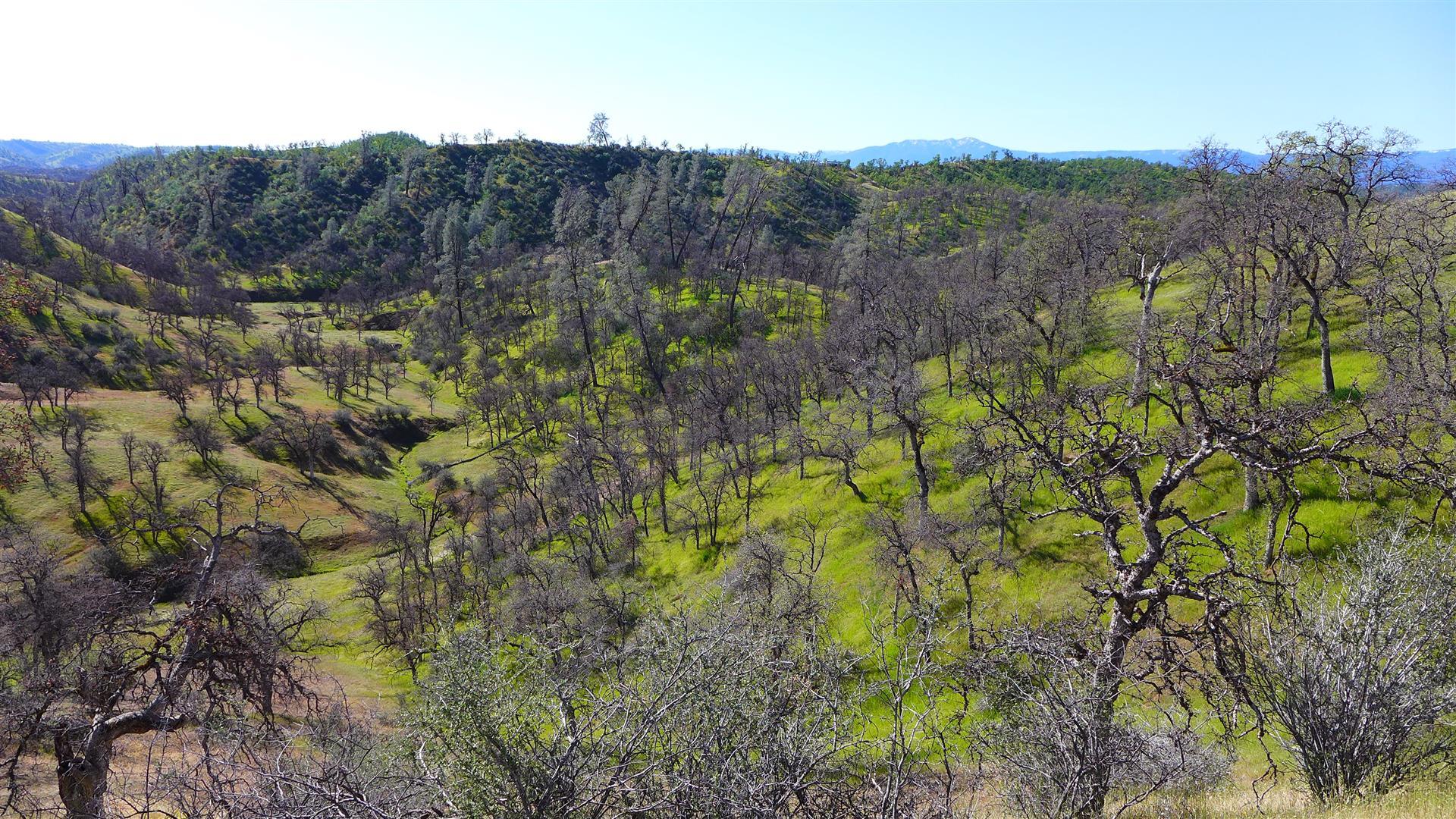 Lot 235 Fiddlers Road Igo, CA 96047 - Photo 6 of 30 a view of mountain and trees