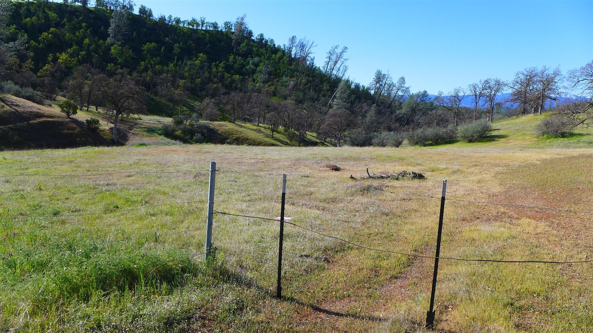 Lot 235 Fiddlers Road Igo, CA 96047 - Photo 10 of 30 a view of a field