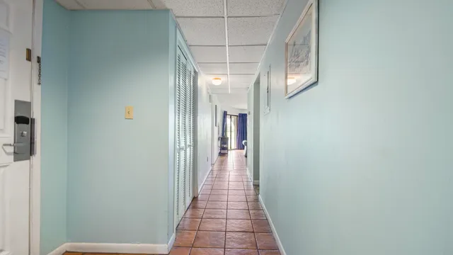 a close view of a plant in a pot