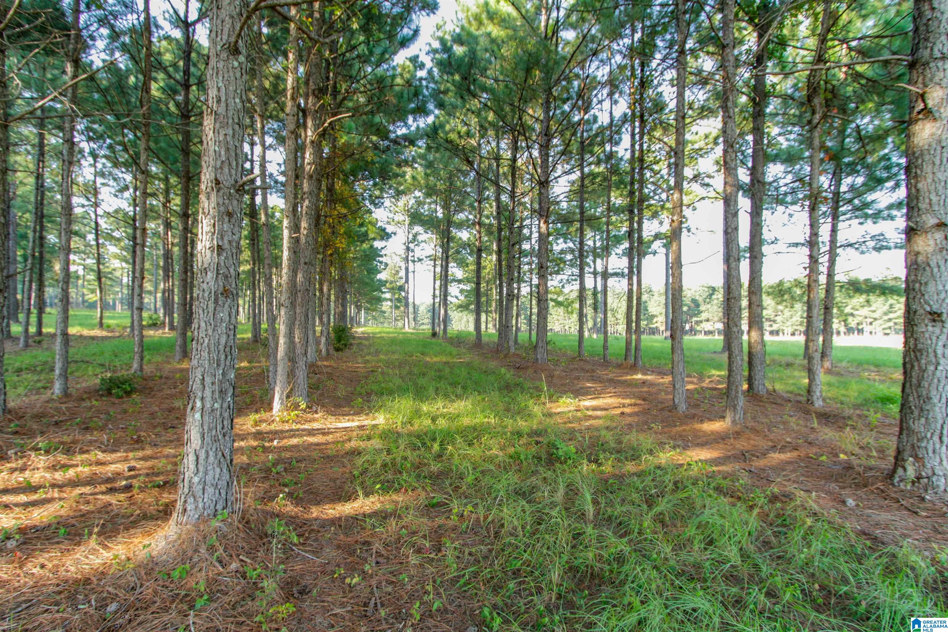 0 County Road 48, Unit 1 Jemison, AL 35085 - Photo 8 of 24