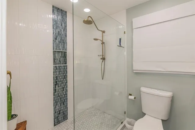 a bathroom with a shower and toilet