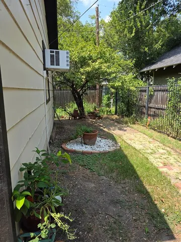 a view of a backyard with plants and large tree