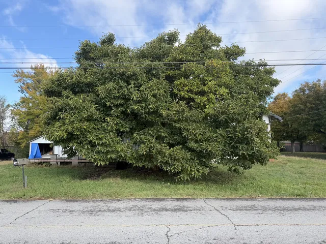a view of a garden with a fountain