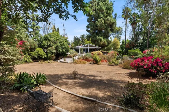 a view of a yard with plants