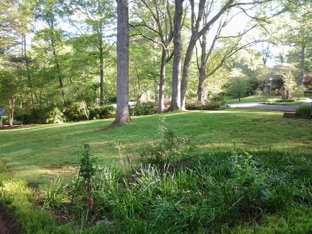 323 Kings Way Clemson, SC 29631 - Photo 9 of 23 Gallery Image 9