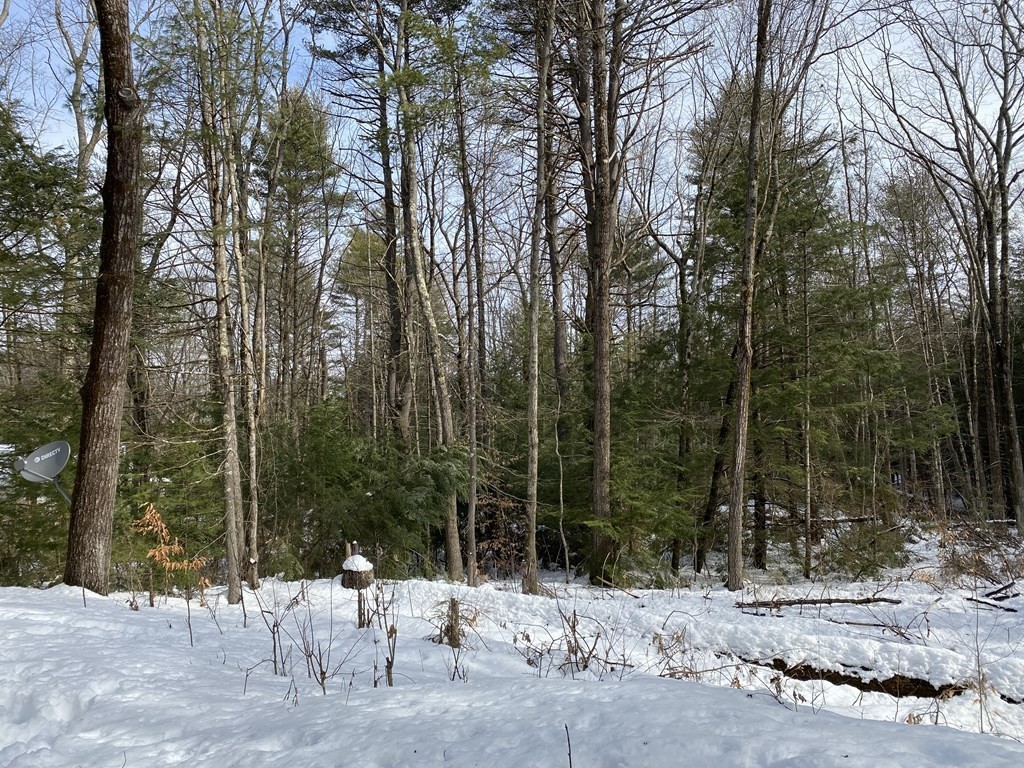 487 Montague Road Shutesbury, MA 01072 - Photo 23 of 26 Gallery Image 23