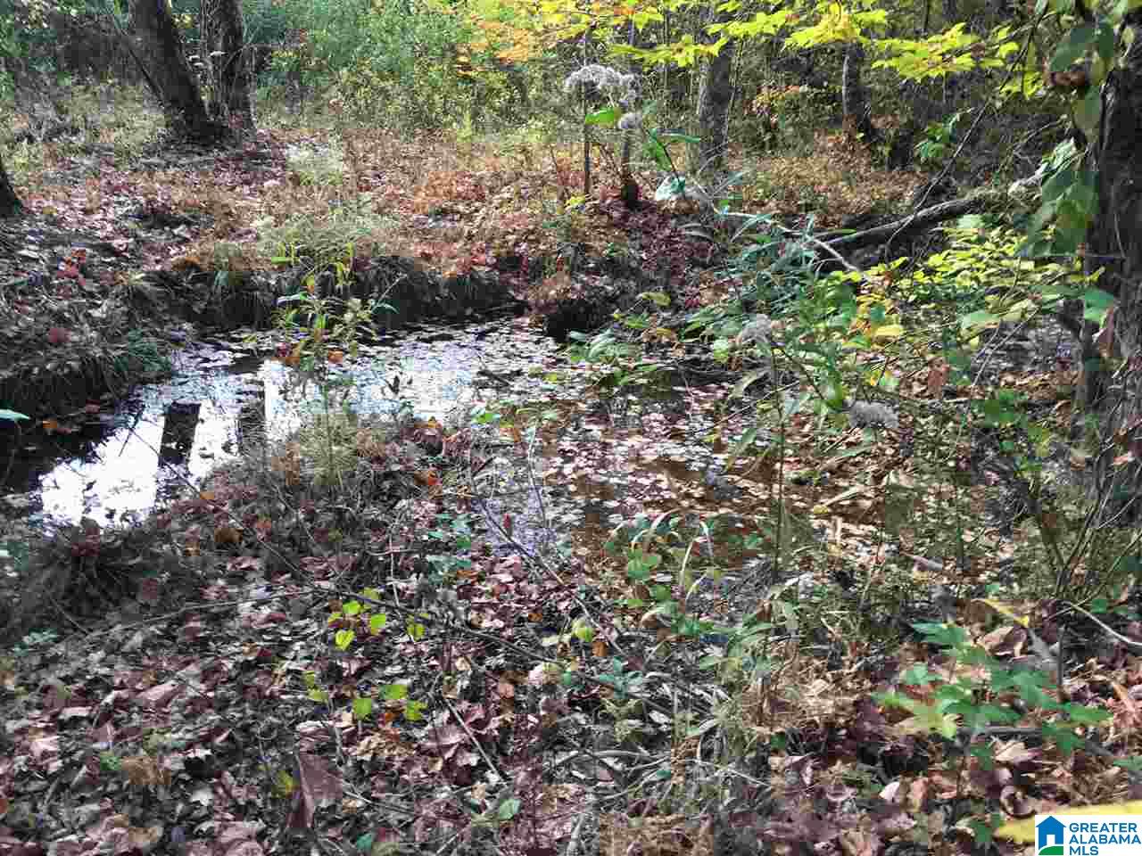 0 Wooden Trace Circle, Unit 30 Springville, AL 35146 - Photo 14 of 25