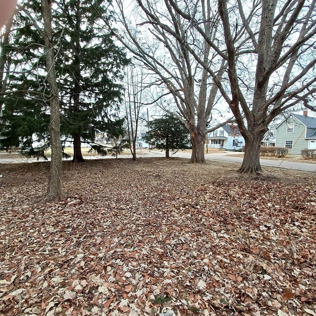 701 East 9th Street Kewanee, IL 61443 - Photo 9 of 56